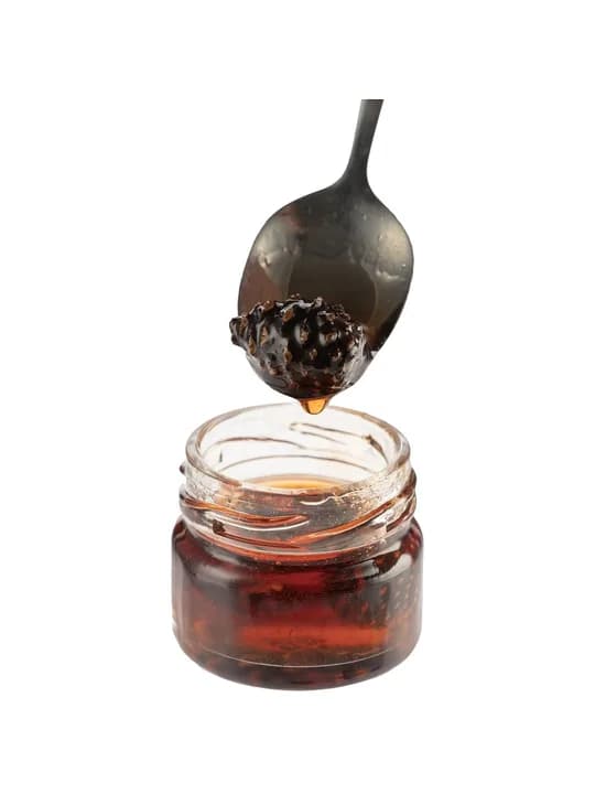 Варенье из сосновых шишек Foresta Mini
