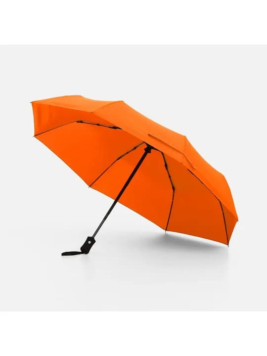 Зонт складной Monsoon