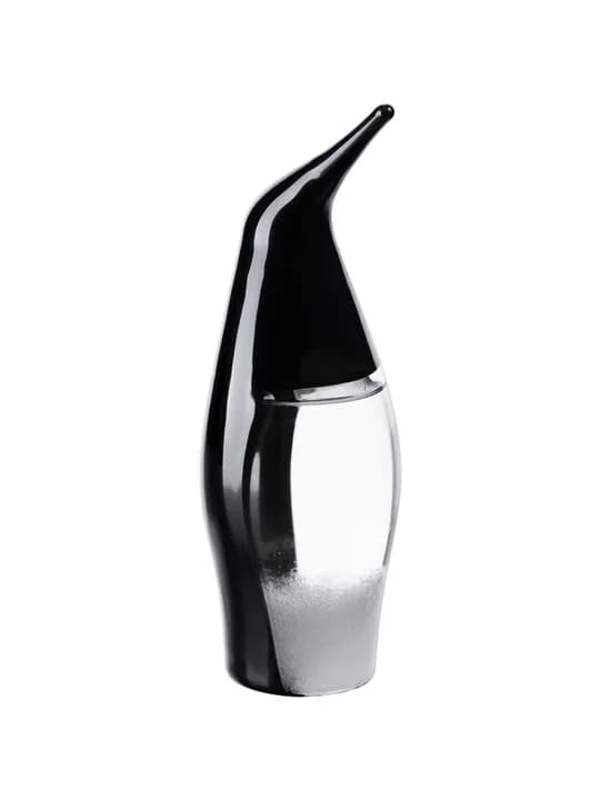 Штормгласс Penguin, черный