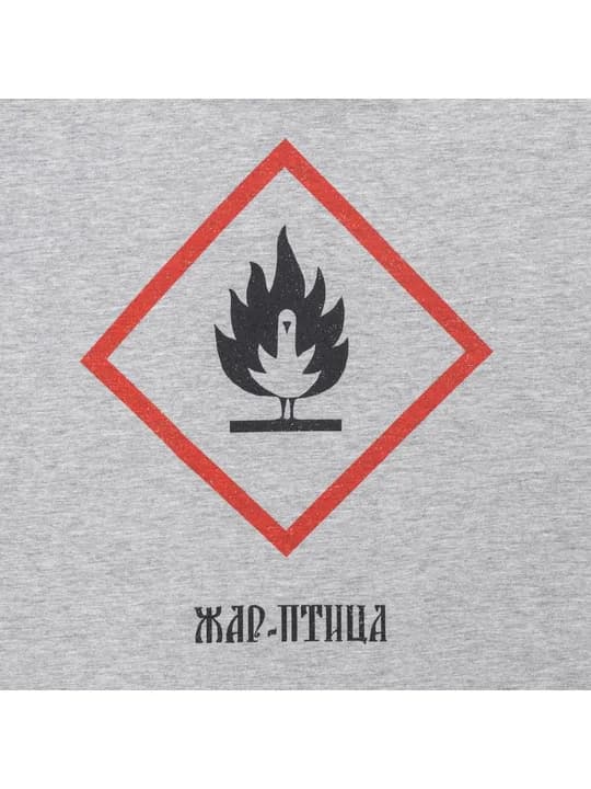 Футболки «Жар-птица», серый меланж